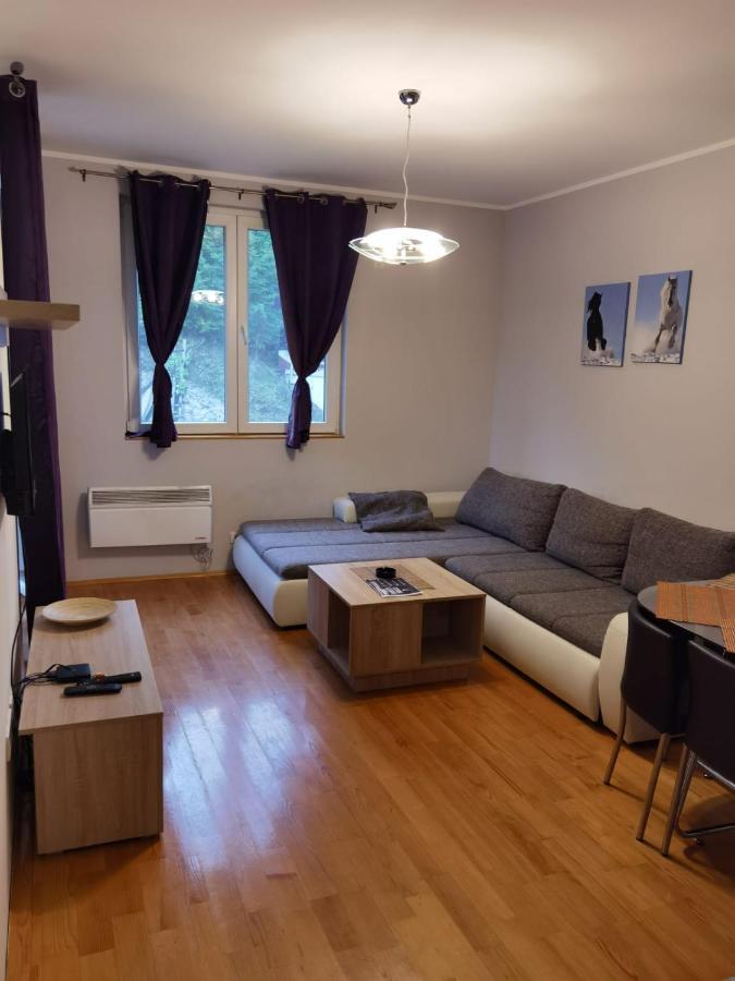 Apartments Foka & Spa - 600M From Gondola Ski Lift كوباونيك المظهر الخارجي الصورة