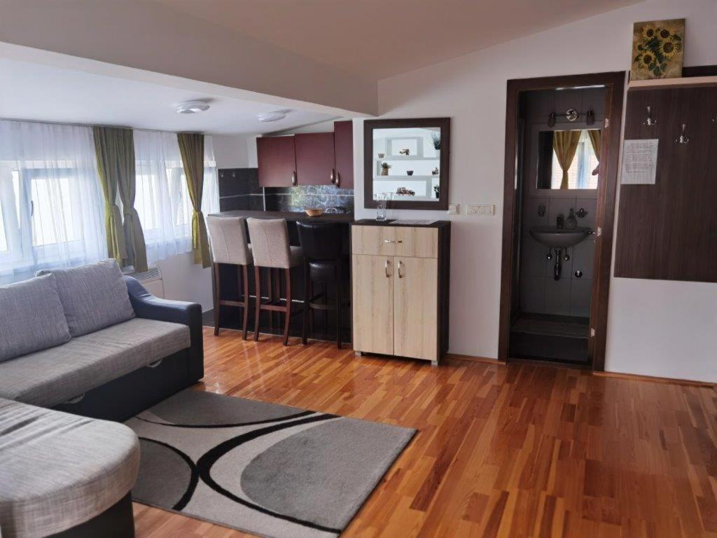 Apartments Foka & Spa - 600M From Gondola Ski Lift كوباونيك المظهر الخارجي الصورة