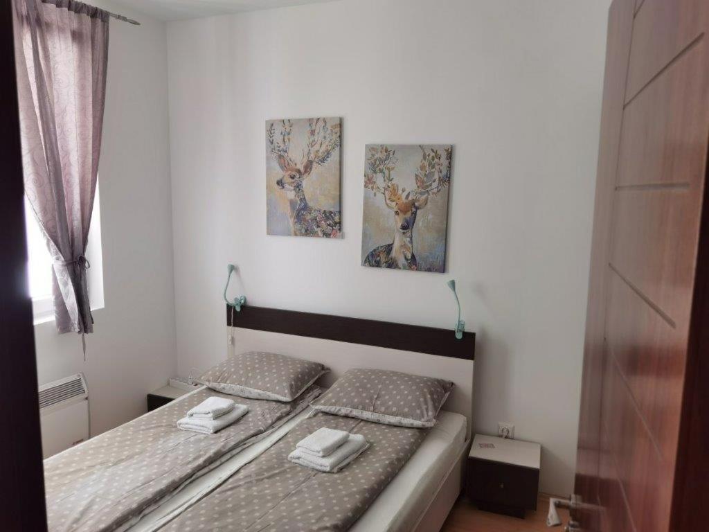 Apartments Foka & Spa - 600M From Gondola Ski Lift كوباونيك المظهر الخارجي الصورة