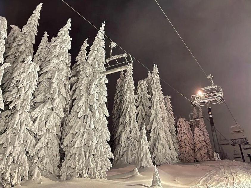Apartments Foka & Spa - 600M From Gondola Ski Lift كوباونيك المظهر الخارجي الصورة